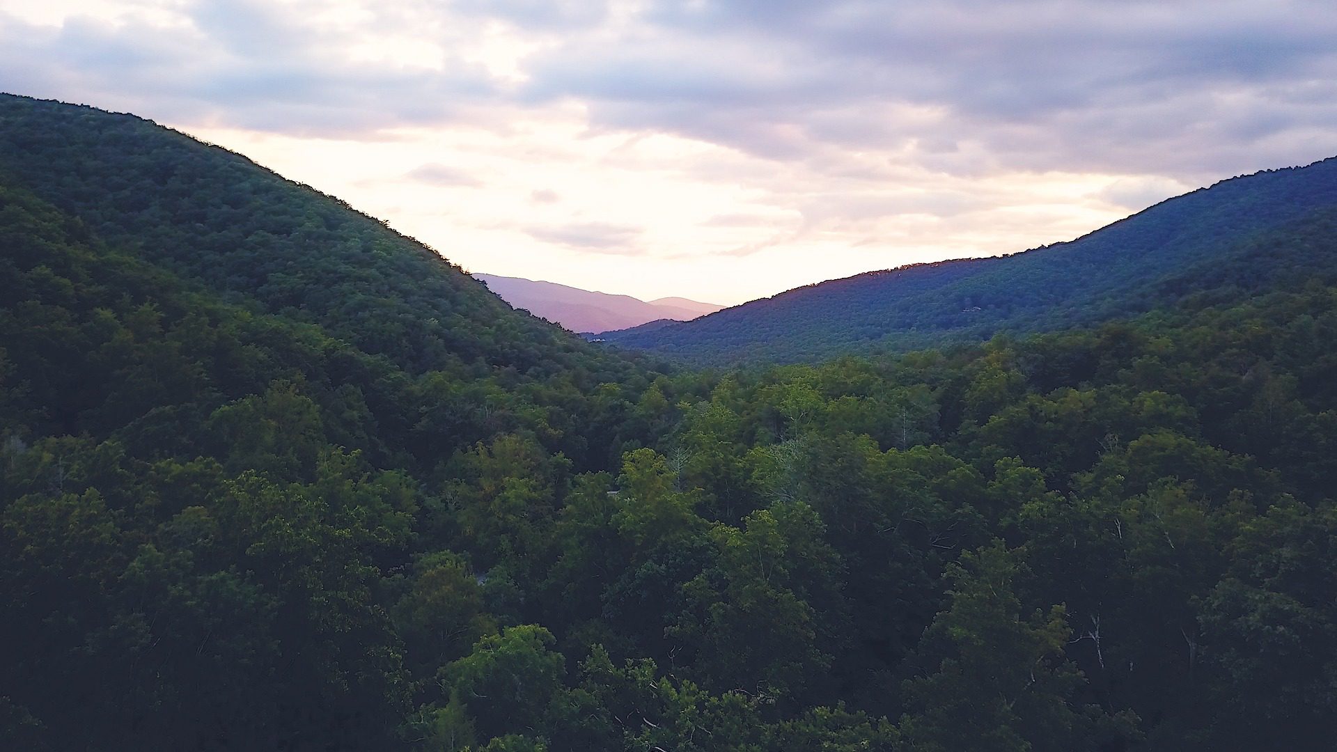 Board of Directors Portal Montreat Conference Center