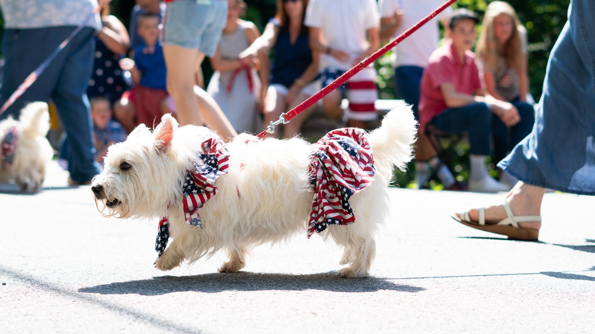 Fourth of July Celebration 2021 | Montreat Conference Center